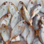 Os 10 Melhores Locais para Comer Peixe no Ceará